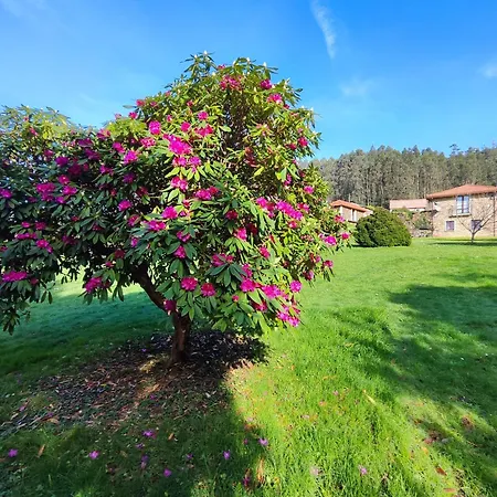 Vakantiehuis Casa Balteira Da Terra, Cedeira